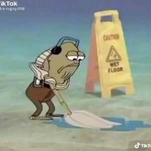 Meet your Posher, Zay